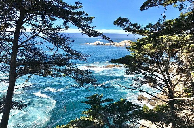 17-Mile Drive, Monterey Peninsula &Carmel Max 12 Small Group Tour - 17-Mile Drive in Del Monte Forest: the whole reason to do this