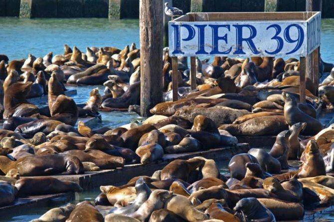 2-Day Hop-On Hop-Off Tour & Alcatraz - Alcatraz + Bus Combo: The Real Travel Payoff