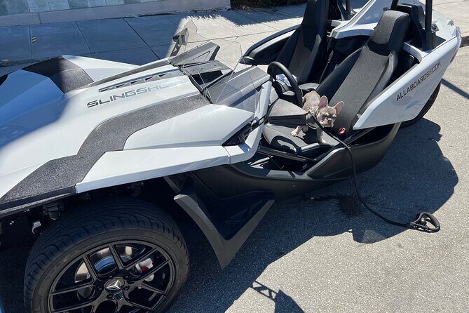 2 Hours fun in a Automatic Slingshot - Why a Polaris Slingshot Beats a Crowded Bus Ride in SF