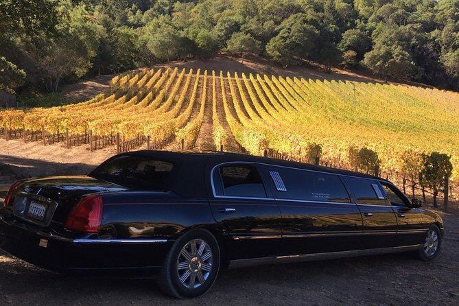 6-Hour Luxury Napa Wine Tasting Tour with Route Planning - Key takeaways before you plan your Napa day