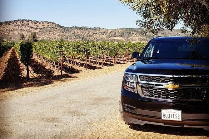 6-Hour Luxury Napa Wine Tasting Tour with Route Planning - Comfort and rules you should know before you go