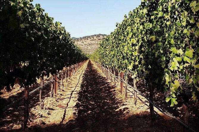 6-Hour Luxury Napa Wine Tasting Tour with Route Planning - Concierge winery choices: how route planning saves your vacation