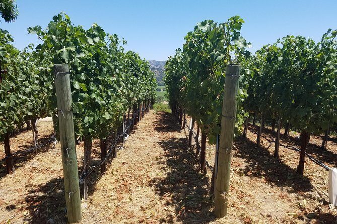 6 Hour Private Wine Country Tour (Sedan, SUV or Limo) - Your Chauffeur: Communication, Timing, and Real Help in Wine Country