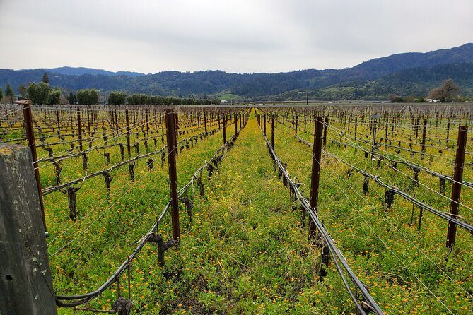 6-Hour Sparkling Wine Tour of Napa Valley - Stop focus: Napa Valley and the bubbles-first tasting idea