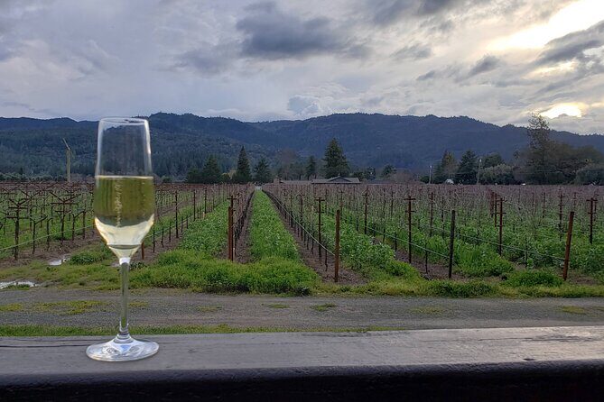 6-Hour Sparkling Wine Tour of Napa Valley - What’s included vs. what you should budget for