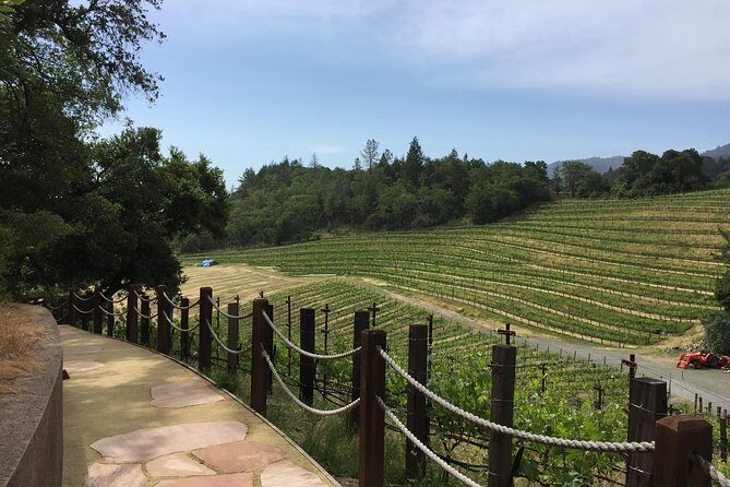 8-Hours Private SUV (up to 6 Passengers) San Francisco to Napa Valley Wine Tour - The Driver Experience: The Real Reason People Rate This So High
