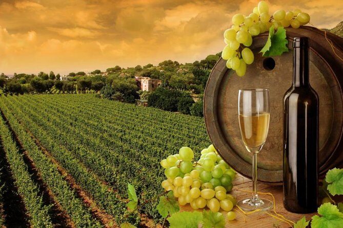 8hr-Private Wine Tour from SF & 1/2 Case of Californian wine. - Key Highlights Worth Planning For