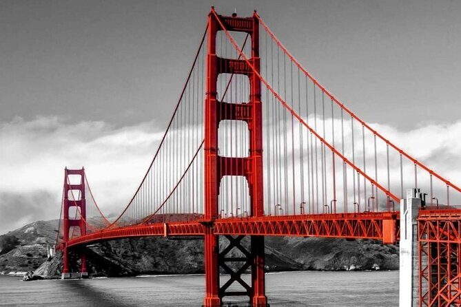 Alcatraz and City Tour Express - The express bus loop: Golden Gate, Palace of Fine Arts, and the neighborhoods in between