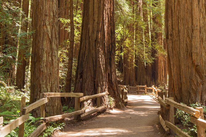 Alcatraz with Muir Woods and Sausalito Tour - A one-ticket day: Alcatraz plus Muir Woods plus Sausalito