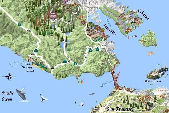 Best San Francisco, Muir Woods & Sausalito Private Combo Tour - Private Vehicle Comfort: Air Conditioning and SUV Access