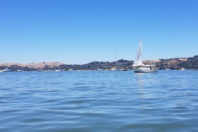 Combo Small-Group Tour: SF City plus Muir Woods & Sausalito - Who this tour suits best (and who may feel rushed)