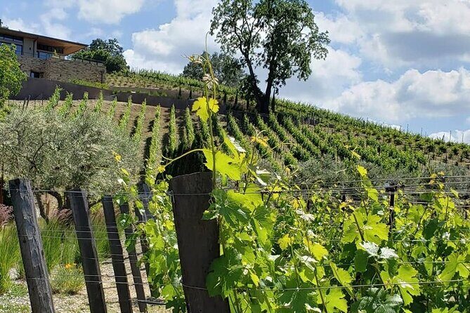 Custom 8-Hour Napa Valley Wine Tour in a Luxury Vehicle - Pickup and drop-off: choose your timing, but read the fine print
