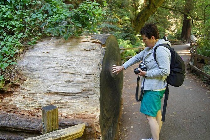 From San Francisco: Muir Woods Tour and Hop-on Hop-off City Tour - Price and Logistics: Is $140 Worth It?