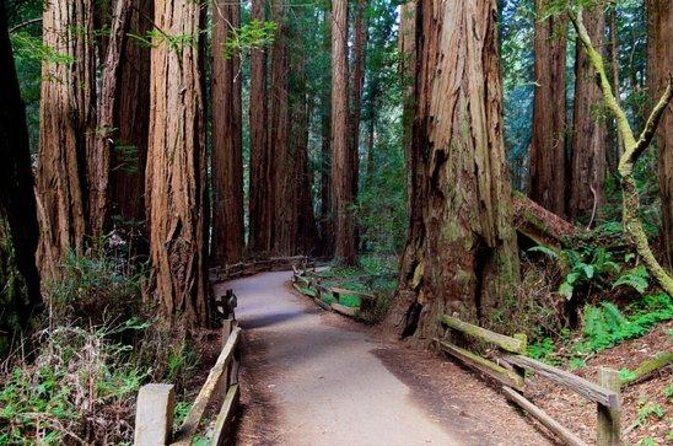 From San Francisco: Muir Woods Tour and Hop-on Hop-off City Tour - Meeting at Tower Tours in Fisherman’s Wharf and Crossing the Golden Gate Bridge
