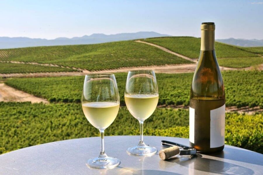 From SFO - Enchanted Napa & Sonoma Wine Tour in SUV - Key Things You’ll Notice on This Napa & Sonoma SUV Day Trip