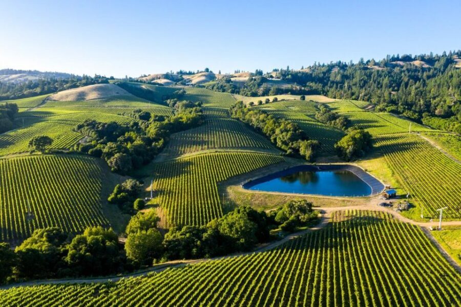 From SFO - Enchanted Napa & Sonoma Wine Tour in SUV - Who This Tour Best Fits (and Who Might Prefer Something Else)