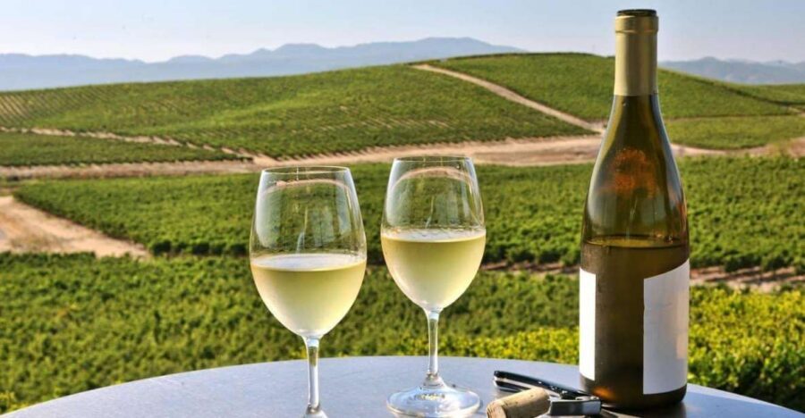 From SFO - Enchanted Napa & Sonoma Wine Tour in SUV - Napa First Stop: Madonna Estate Winery and a Guided Tasting Start