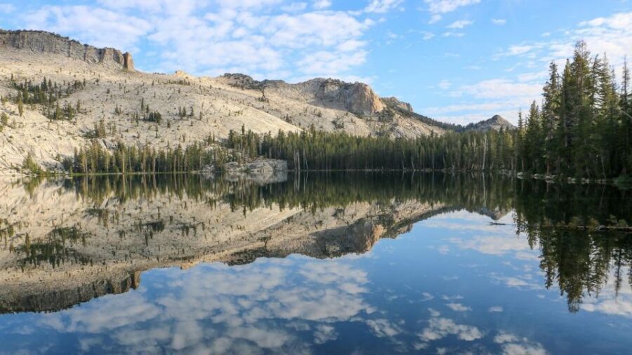 From SFO-Yosemite National Park-Enchanting Full Day Tour - Key things that make this Yosemite day trip work