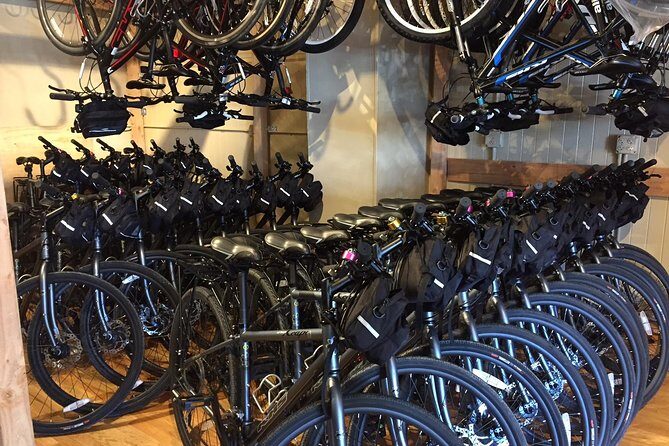 Golden Gate Bridge Electric Bike Rentals (E-Bike Rentals All day) - Your Ride Day: Golden Gate Bridge to the Piers