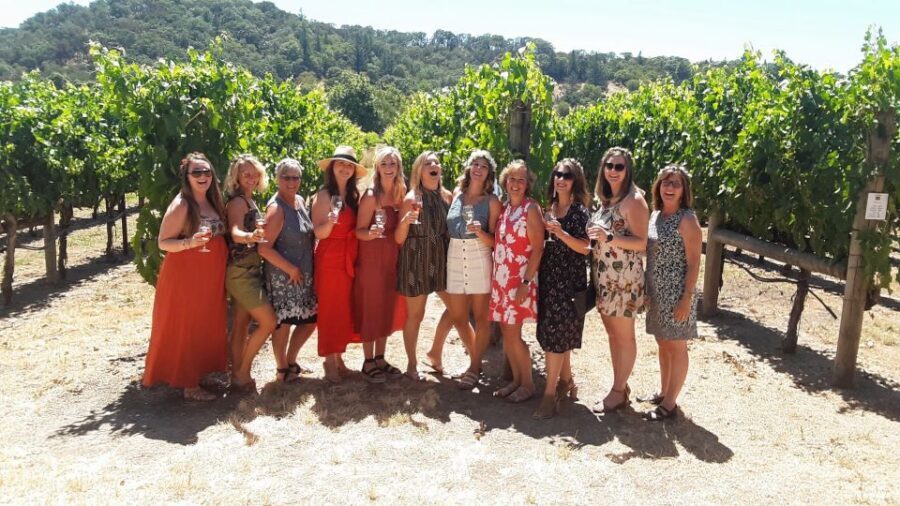 Guided Private Wine Tour to Napa and Sonoma Wine Country - Price and value: $1,095 per group, plus tasting fees and lunch