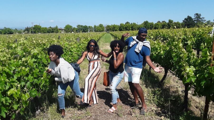 Guided Private Wine Tour to Napa and Sonoma Wine Country - Who this tour fits best (and who might want a different plan)