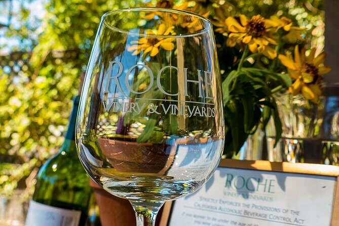 Half-Day Wine Tour Plus Hop-On Hop-Off Bus Pass - Half-day wine country plus a bus pass: how the package actually works