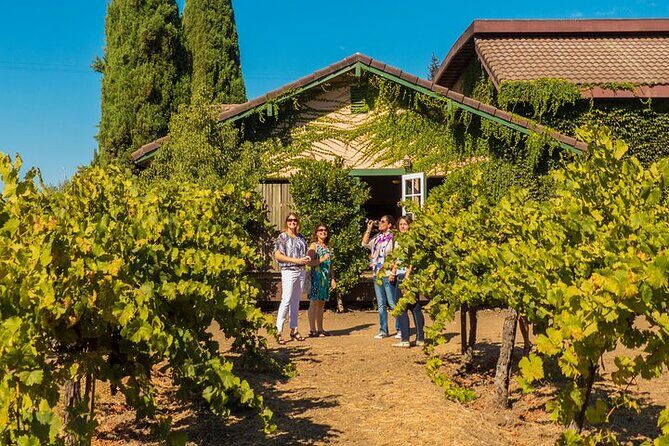 Half-Day Wine Tour Plus Hop-On Hop-Off Bus Pass - The ride experience: open-top bus views versus the in-between transfer