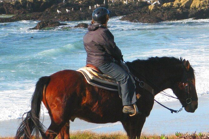 Horseback Ride & Alcatraz Prison Tickets - Horses first, then Alcatraz: the appeal of a tightly planned combo