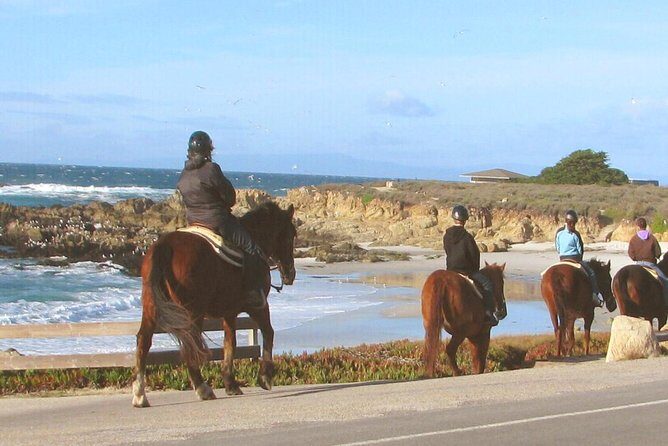 Horseback Ride & Alcatraz Prison Tickets - The Rock experience: a self-guided audio tour you can actually pace