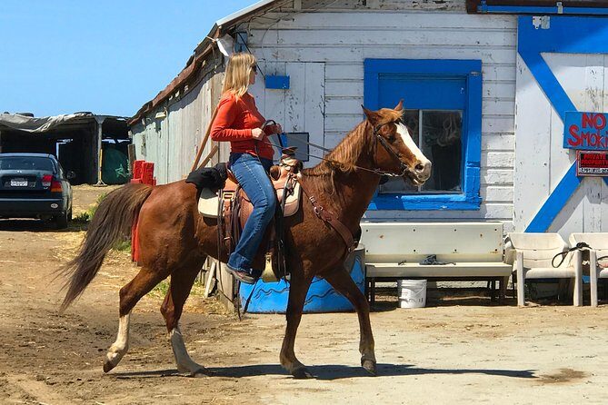 Horseback Ride & Alcatraz Prison Tickets - Price and value: is $925 per person worth it?
