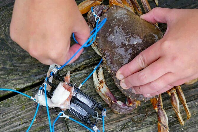 Learn to Catch and Cook Crab under Golden Gate Bridge SF - Price and Value: Is $150 a Fair Deal for $150 Worth of Fun?