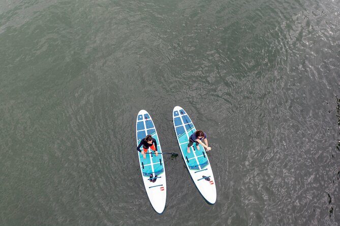 Learn to Paddle Board on the San Francisco Bay! - Stop 2: San Francisco Bay paddling near the shoreline