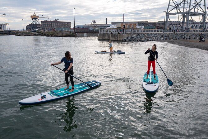Learn to Paddle Board on the San Francisco Bay! - The 1.5-hour lesson plan: technique first, then real-world decisions