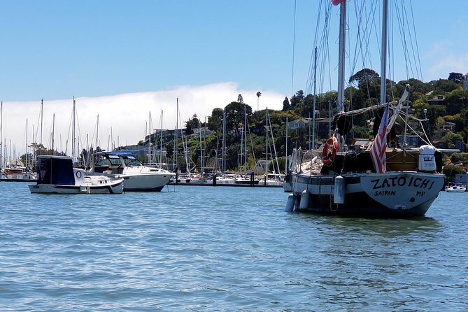 Muir Woods and Sausalito Afternoon Tour Small-Group Half-Day - Sausalito Time: A Waterfront Town Right by the Bridge