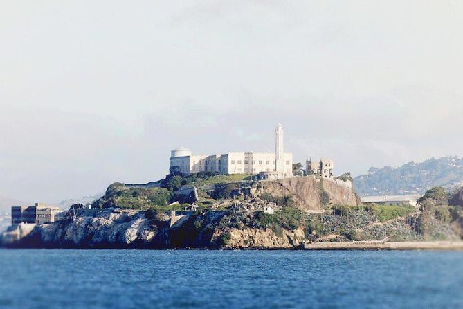 Muir Woods and Sausalito + Ferry, Alcatraz Night Tour & Aquarium Access - Aquarium of the Bay: the included add-on that can save your afternoon