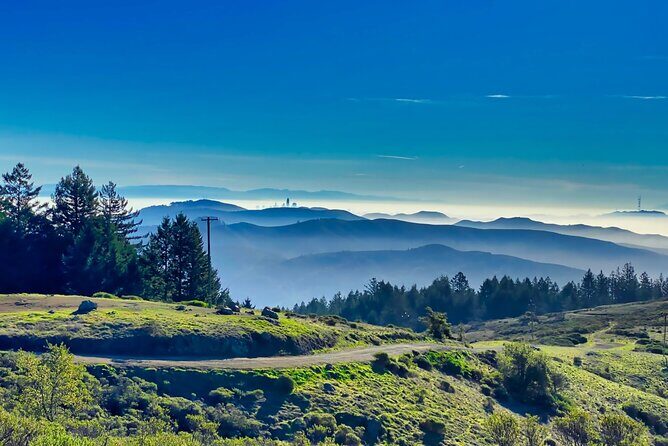 Muir Woods and Sausalito Half Day Tour - What to pack (so fog and wind don’t ruin the vibe)
