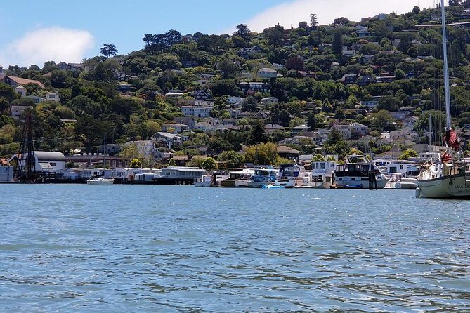 Muir Woods and Sausalito Morning Tour Small-Group Half Day - Golden trees, then a waterfront town: Sausalito boardwalk time