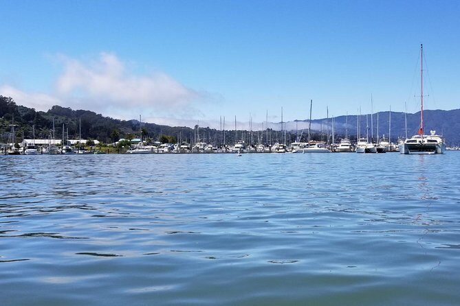 Muir Woods and Sausalito Morning Tour Small-Group Half Day - What you’re really paying for: guides, van time, and not having to drive