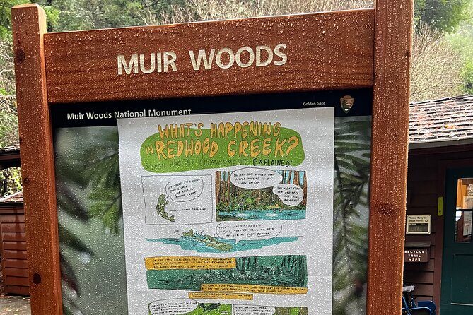 Muir Woods and Sausalito Private Tour - Sausalito Boardwalk in One Hour: Views, Shops, and Houseboats