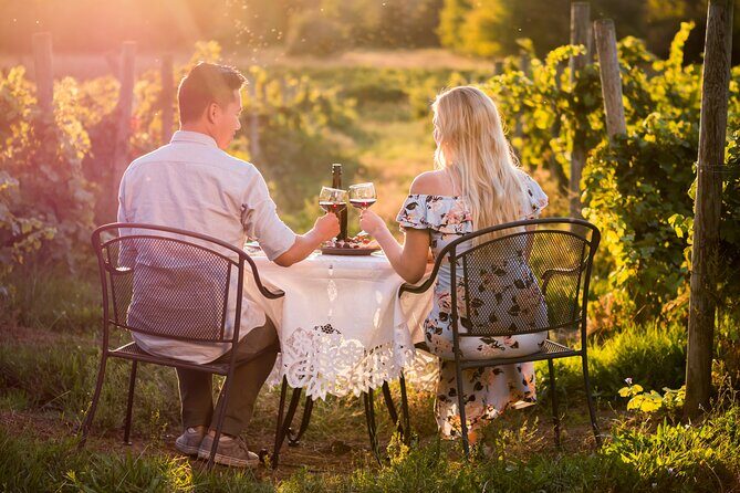 Napa or Sonoma Private Wine Tour from San Francisco - Pickup and Aura Limousine: the convenience you’re paying for