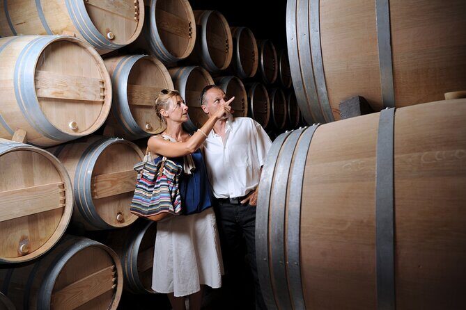 Napa or Sonoma Private Wine Tour from San Francisco - Sonoma too: how the day can expand beyond one valley