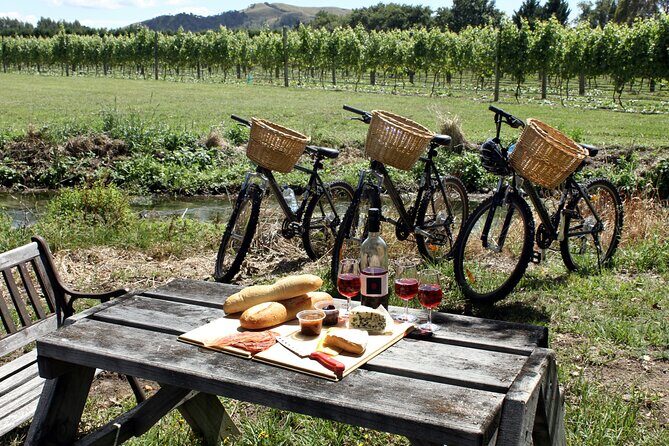 Napa or Sonoma Private Wine Tour from San Francisco - Price and value: $800 per group is high, but it can pencil out