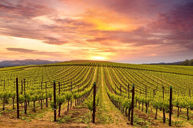 Napa or Sonoma Private Wine Tour from San Francisco - Who this tour is best for (and who should skip it)