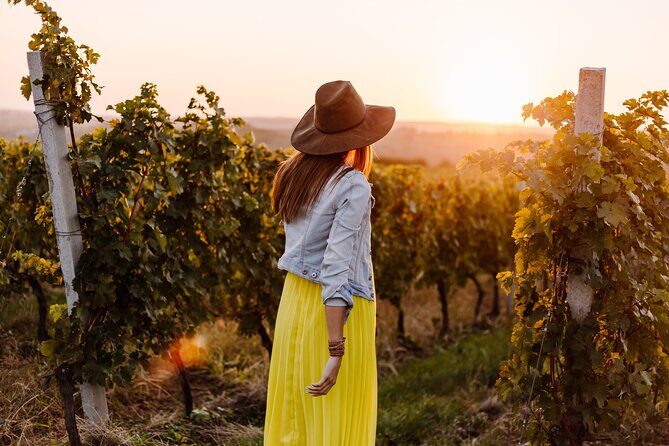 Napa or Sonoma Private Wine Tour from San Francisco - A route with room for photos, including the Golden Gate Bridge