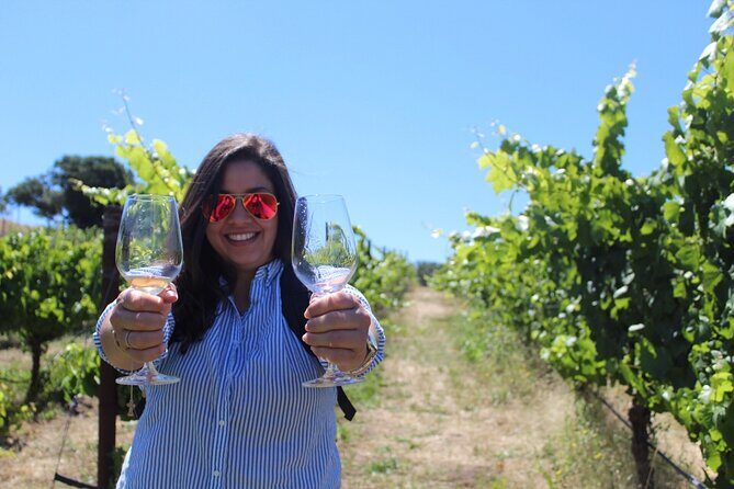 Napa Valley Wine and Food Tasting Tour from San Francisco - Downtown Napa: Your Hour to Plan Lunch and Browse