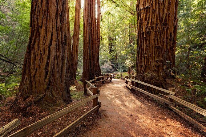 One Day in San Francisco: Alcatraz, Muir Woods, and SF City Tour - Key highlights to look for on this San Francisco day