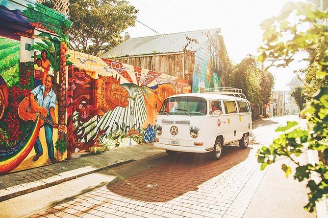 Painted Ladies San Francisco City Tour - What to bring and what to plan for during a VW bus ride