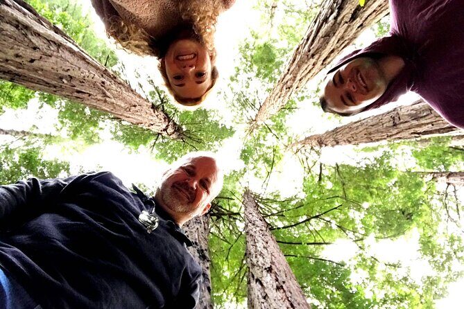 Private Full-Day San Francisco City Tour with Muir Woods (Max 6) - Key highlights worth getting excited about