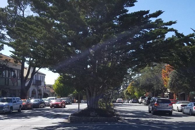 Private Tour to Monterey, Carmel, 17-Mile Drive, Pebble Beach - 17-Mile Drive Through Pebble Beach and Pacific Grove