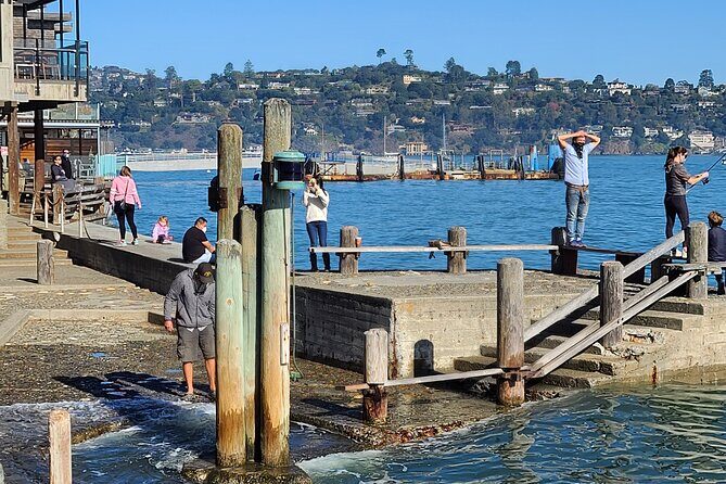 San Francisco Bay Cruise, Muir Woods and Sausalito Combo Tour - Pickup and the morning drive: more than just getting there